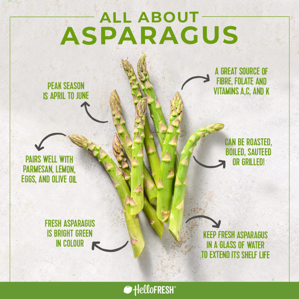 5 Recipes That Celebrate Asparagus HelloFresh Magazine   ASPARAGUS INFOGRAPHIC V2 1024x1024 