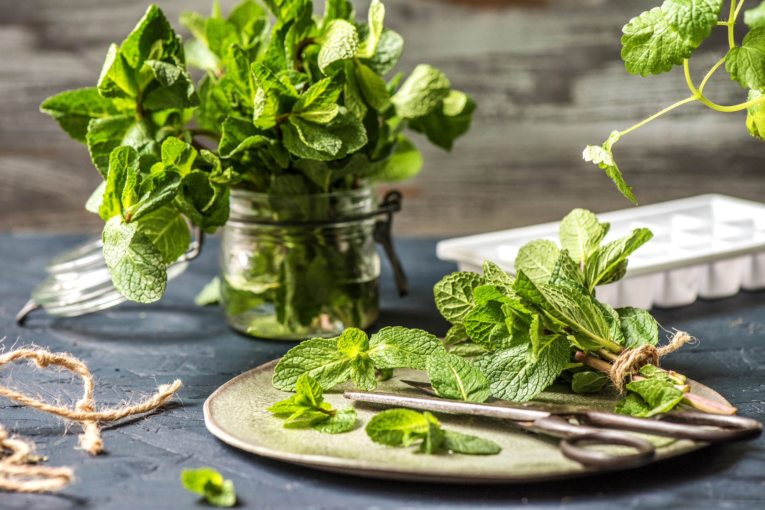  How to Store Fresh Herbs So They Last Longer